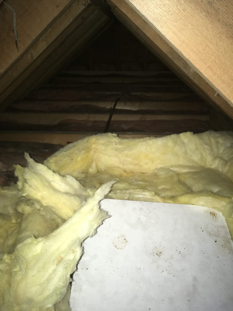 Thick insulation next to the loft hatch, not so thick beyond there...
